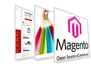 Hire Magento Developer